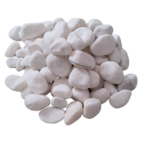 20kg White Pebbles sizes approx 25-30mm