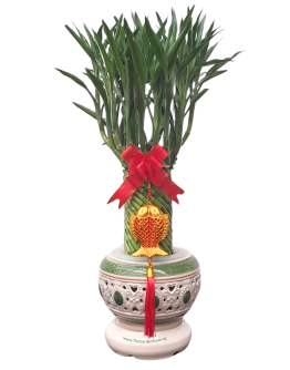 Prosperity Lucky Bamboo Tower in Hydroponic Ceramic Classic Pot 繁荣幸福竹塔