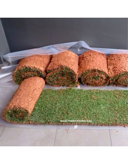 Real Carpet Grass 5ft X 1ft per roll