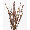 Pussy Willow Unpeeled 银柳 (12 Stems per Bundle)