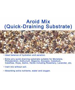 Aroid Mix – Quick Draining Substrate