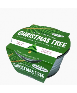 Grow Your Own Christmas Tree Mini Zinc Basin Xmas Tree