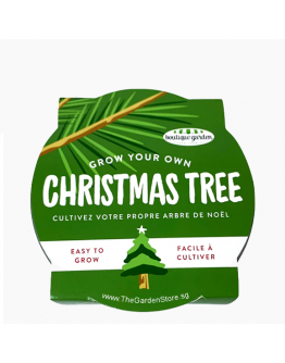 Grow Your Own Christmas Tree Mini Zinc Basin Xmas Tree