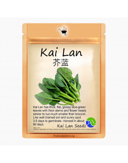 Kai Lan Seeds by BlueAcres