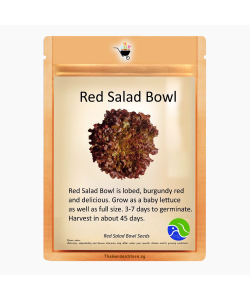 Red Salad Bowl Seeds by BlueAcres
