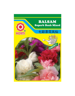 Balsam Superb Bush Mixed 七彩茶凤仙花 Seeds By HORTI