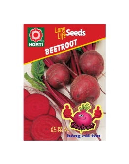 Beetroot 甜菜根 Seeds By HORTI