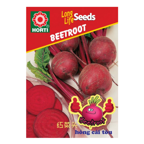 Beetroot 甜菜根 Seeds By HORTI