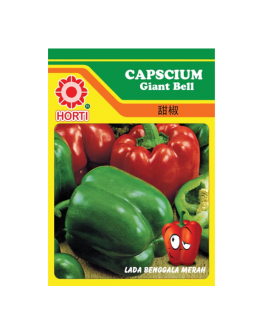 Capscium Giant Bell 灯笼椒 Seeds By HORTI