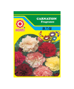 Carnation 康乃馨 Seeds By HORTI