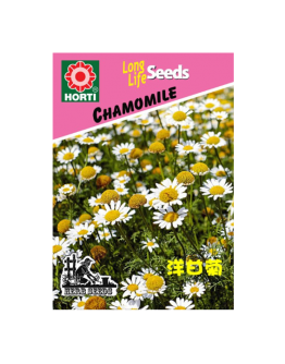 Chamomile 洋甘菊 Seeds By HORTI