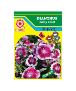 Dianthus Baby Doll Seeds 西洋石竹 By HORTI