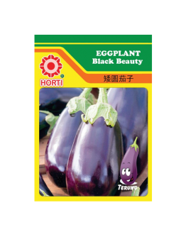 Eggplant Black Beauty Seeds by HORTI 