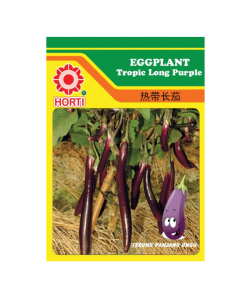 Eggplants Tropic Long Purple Seeds by HORTI 