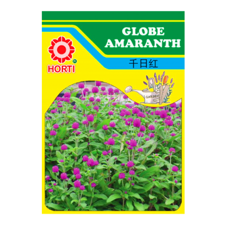 Globe Amaranth 千日红 Seeds By HORTI