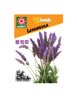 Lavender 薰衣草 Seeds By HORTI
