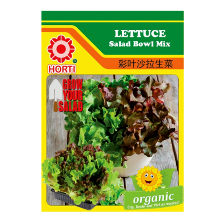 Lettuce Salad Mix 彩叶沙拉生菜 Seeds by HORTI 