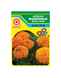 Marigold 万寿菊 Seeds By HORTI