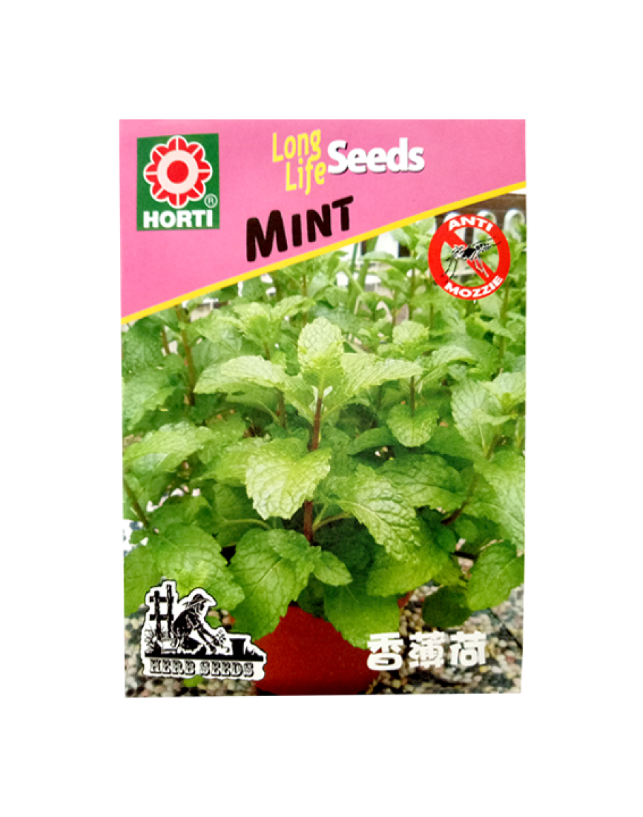 mint seeds near me