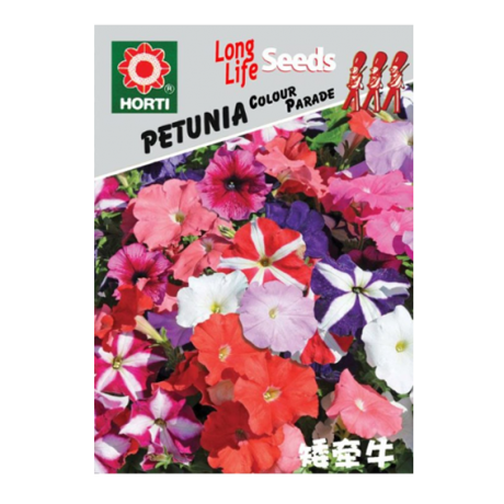 Petunia Colour Parade 矮牵牛Seeds By HORTI