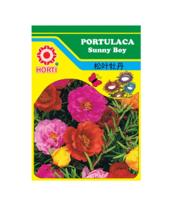 Portulaca Sunny Boy Seeds By HORTI