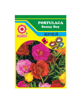 Portulaca Sunny Boy Seeds By HORTI