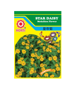 Star Daisy Melampodium 皇帝菊 Seeds By HORTI