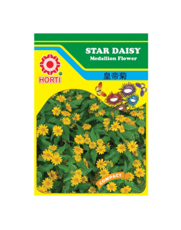 Star Daisy Melampodium 皇帝菊 Seeds By HORTI