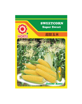 Sweetcorn Seeds 超甜玉米 By HORTI