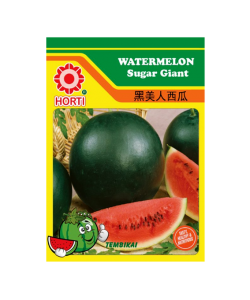 Watermelon Super Giant 西瓜黑美人 Seeds By HORTI