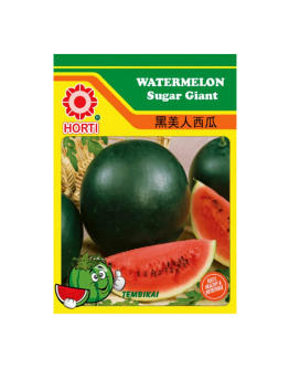 Watermelon Super Giant 西瓜黑美人 Seeds By HORTI
