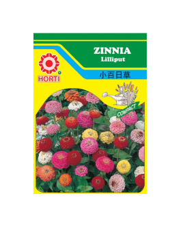 Zinnia Lilliput Seeds by HORTI