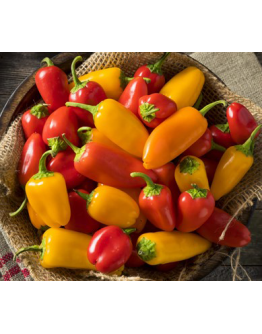 Sweet Pepper 'Lunch Box Mix' Seeds by The Seeds Master (12 seeds)