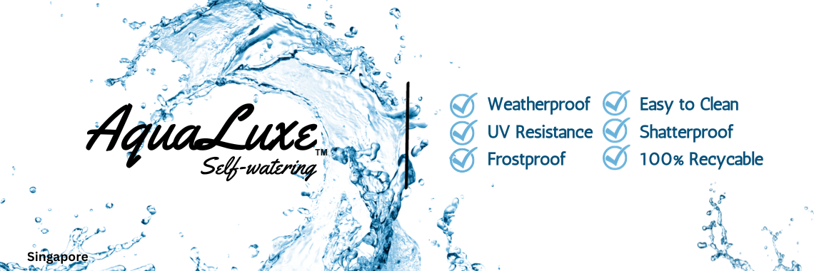 AquaLuxe Self Watering product image