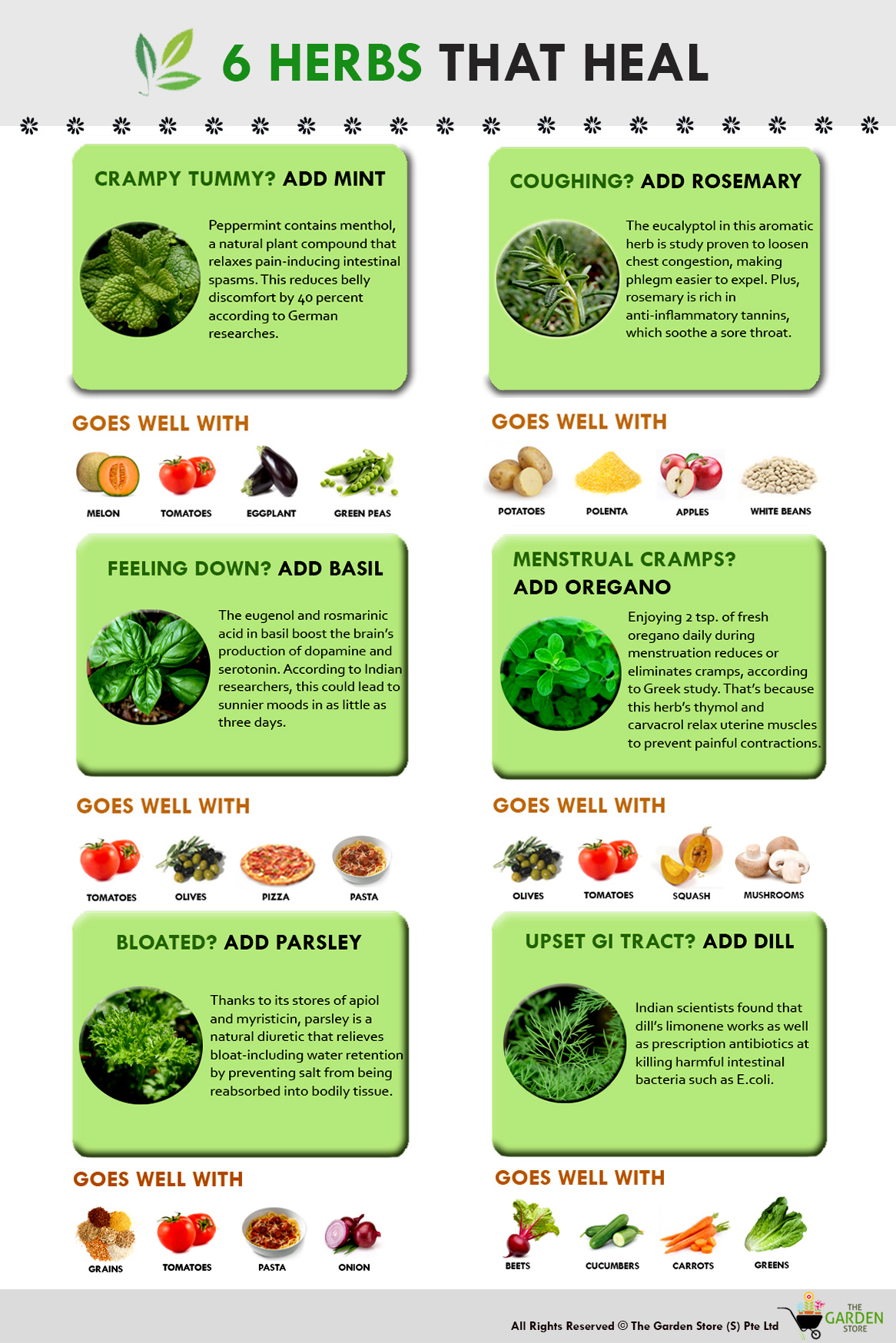 6 Types of Edible Herbs